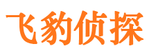 宽城市私家侦探